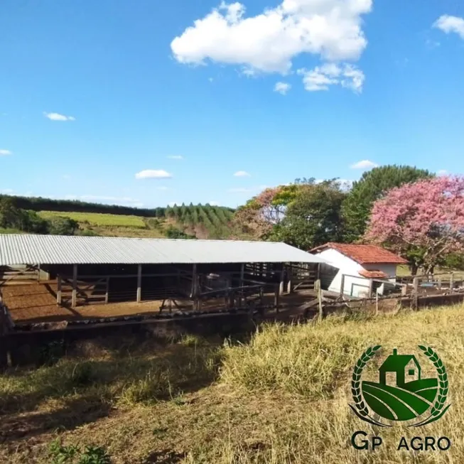 Foto 1 de Fazenda/Sítio com 3 Quartos à venda, 22m² em Zona Rural, Perdizes