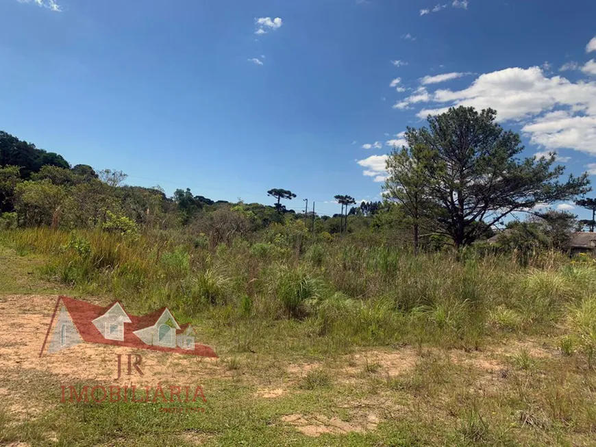 Foto 1 de Fazenda/Sítio com 1 Quarto à venda, 4000m² em Cotia, São José dos Pinhais