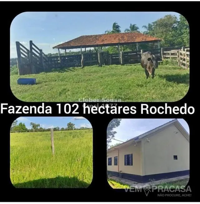 Foto 1 de Fazenda/Sítio à venda, 102000m² em Zona Rural, Rochedo