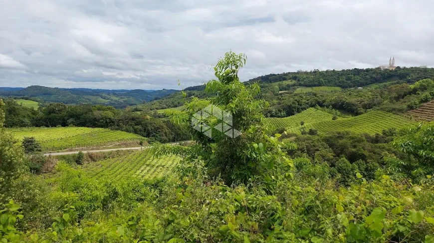 Foto 1 de Fazenda/Sítio com 1 Quarto à venda, 30000m² em , Monte Belo do Sul