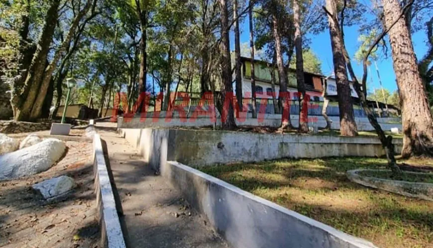 Foto 1 de Fazenda/Sítio com 4 Quartos à venda, 6m² em Furnas, São Paulo