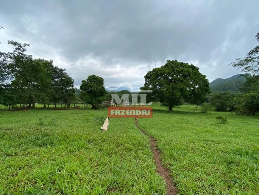 Foto 1 de Fazenda/Sítio à venda, 363m² em Zona Rural, São Francisco de Goiás