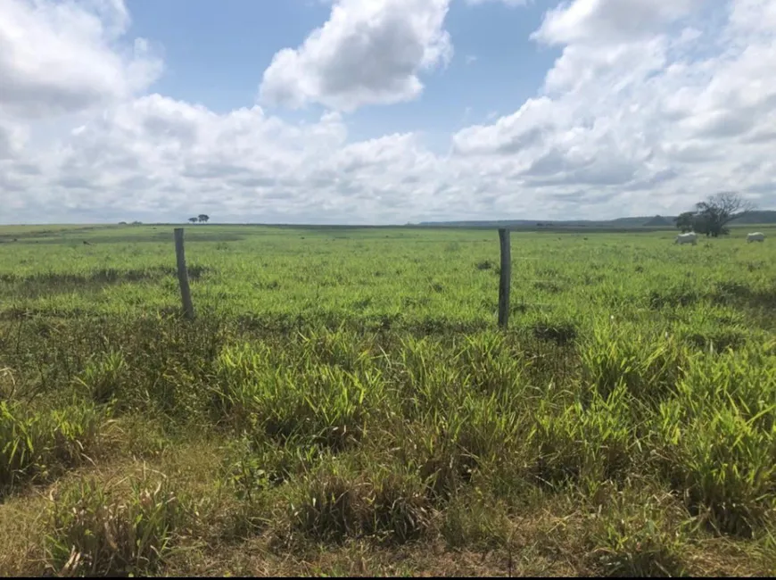 Foto 1 de Fazenda/Sítio com 3 Quartos à venda, 3900m² em Setor Central, Goiatins