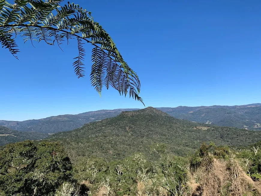 Foto 1 de Lote/Terreno à venda em Santa Tereza, Urubici