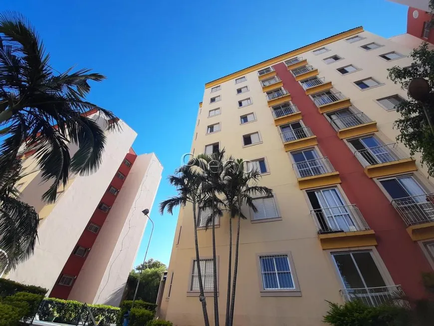 Foto 1 de Apartamento com 3 Quartos à venda, 65m² em Jardim dos Oliveiras, Campinas