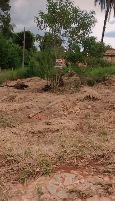 Foto 1 de Lote/Terreno à venda, 360m² em Novo Igarapé, Igarapé