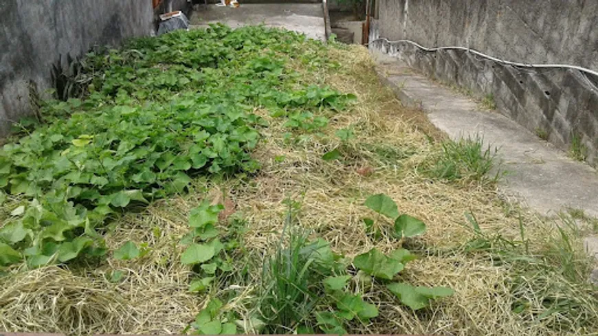 Foto 1 de Lote/Terreno à venda, 204m² em Vila Nova Mazzei, São Paulo