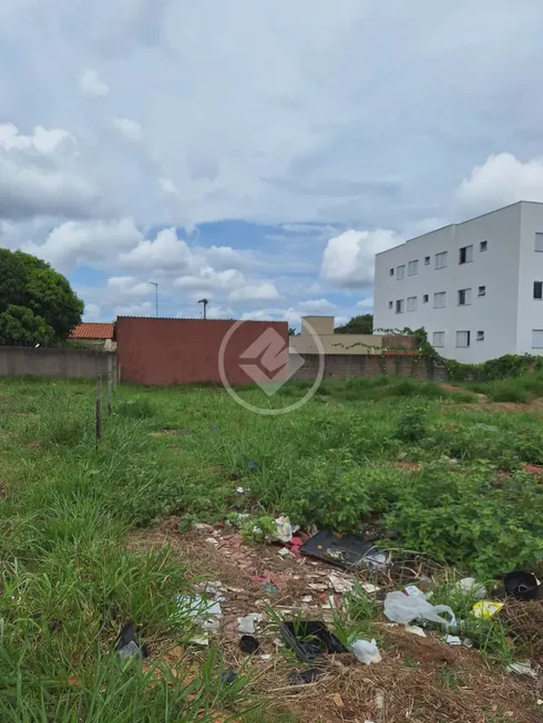 Foto 1 de Lote/Terreno à venda, 290m² em Shopping Park, Uberlândia