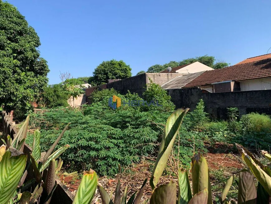 Foto 1 de Lote/Terreno à venda, 487m² em Vila Morangueira, Maringá