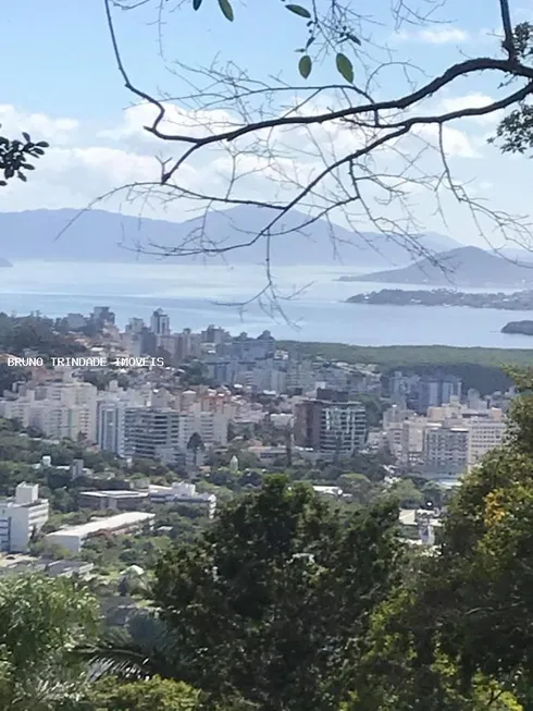 Foto 1 de Fazenda/Sítio com 2 Quartos à venda, 4900m² em Pantanal, Florianópolis