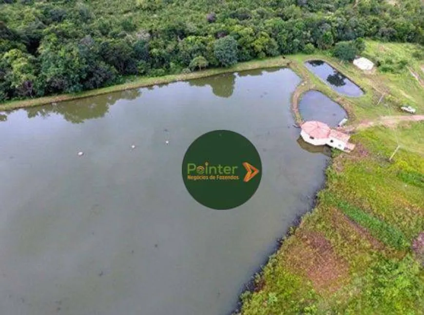 Foto 1 de Fazenda/Sítio à venda, 27000m² em Zona Rural, Monte Alegre de Goiás