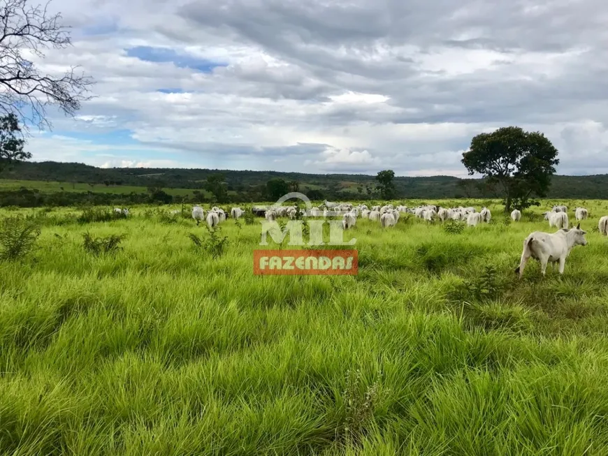 Foto 1 de Fazenda/Sítio à venda em Zona Rural, João Pinheiro