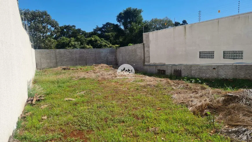 Foto 1 de Lote/Terreno à venda, 488m² em Coqueiral, Cascavel