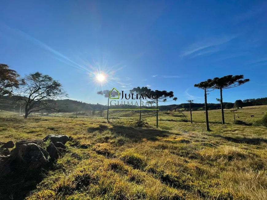 Foto 1 de Lote/Terreno à venda, 294949m² em Vargedo, Rancho Queimado