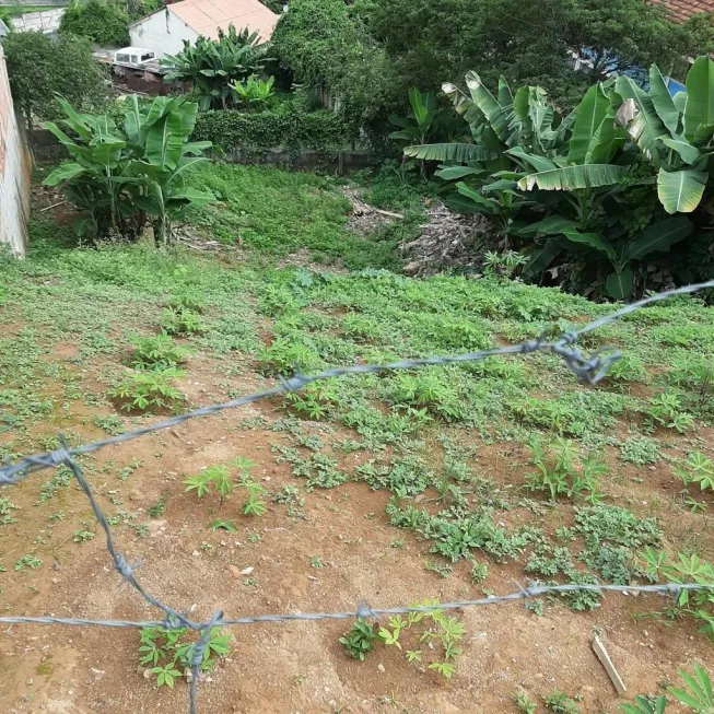 Foto 1 de Lote/Terreno à venda, 240m² em Bela Vista, Leopoldina