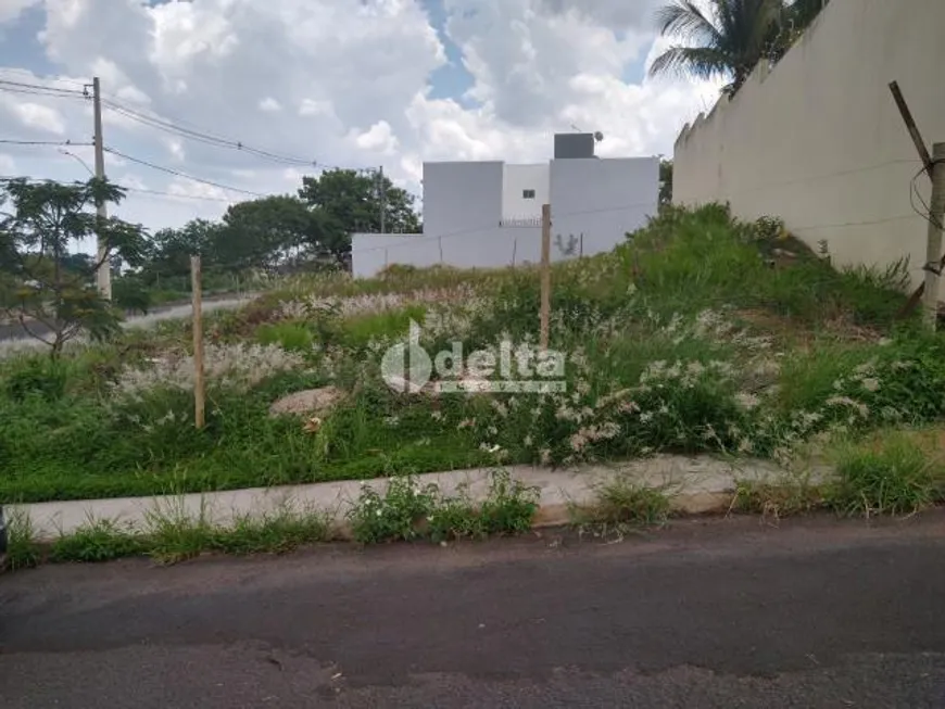 Foto 1 de Lote/Terreno à venda, 300m² em Vigilato Pereira, Uberlândia