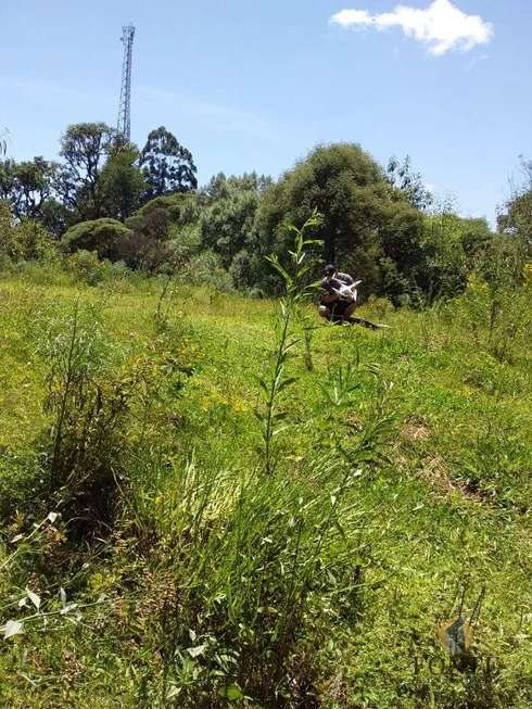 Foto 1 de Lote/Terreno à venda, 115000m² em , Rio Rufino