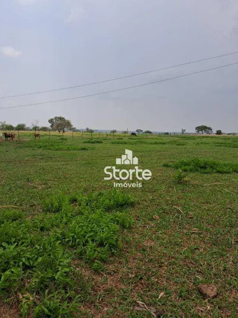 Foto 1 de Fazenda/Sítio à venda, 193600m² em Panorama, Uberlândia