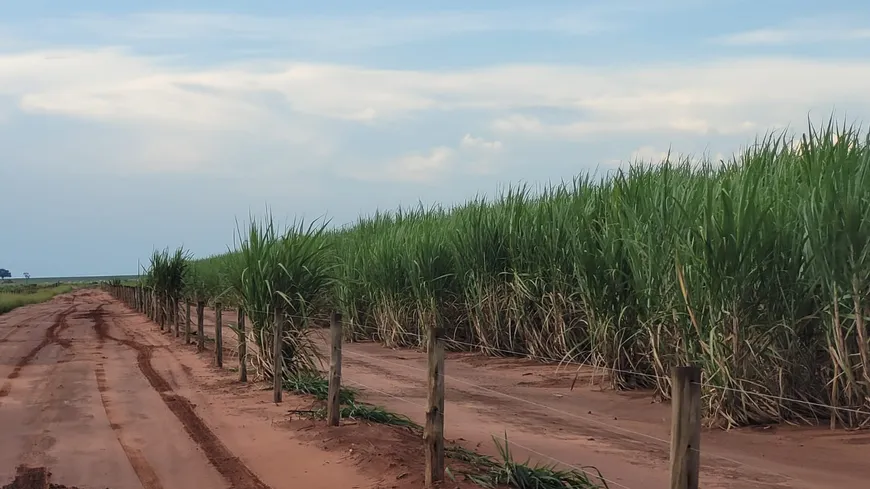 Foto 1 de Fazenda/Sítio à venda, 314m² em Zona Rural, Naviraí