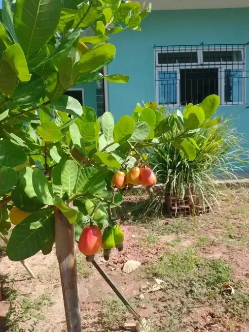 Foto 1 de Sobrado com 3 Quartos à venda, 90m² em Serpa, Caieiras