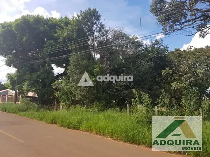 Foto 1 de Lote/Terreno à venda, 10m² em Uvaranas, Ponta Grossa