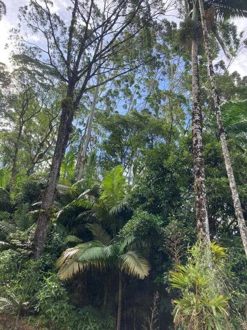 Foto 1 de Fazenda/Sítio com 2 Quartos à venda, 780000m² em , Corupá