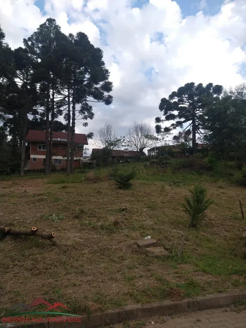 Foto 1 de Lote/Terreno à venda, 554m² em Bavária, Nova Petrópolis