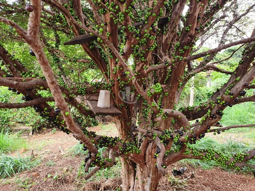 Foto 1 de Fazenda/Sítio com 1 Quarto à venda, 1m² em Vila Vieira Vila Xavier, Araraquara