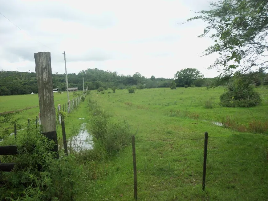 Foto 1 de Lote/Terreno à venda, 160000m² em Lami, Porto Alegre