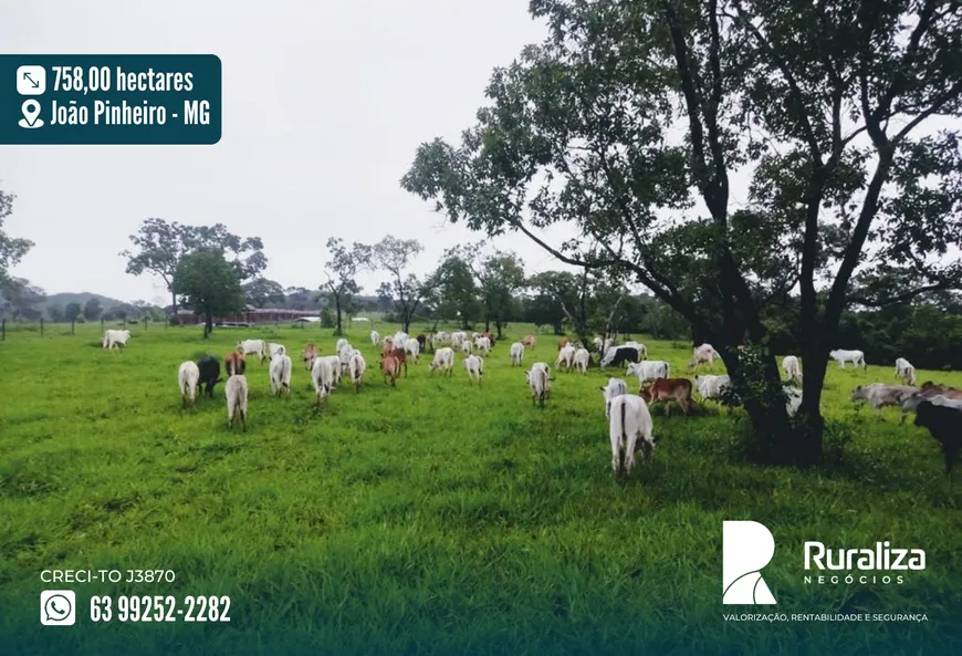 Foto 1 de Fazenda/Sítio à venda, 758m² em Zona Rural, João Pinheiro