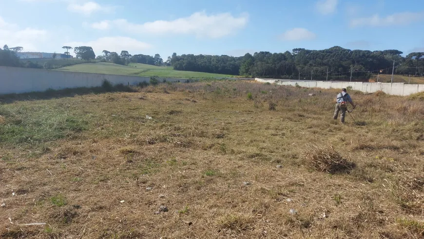 Foto 1 de Lote/Terreno à venda, 8369m² em São Marcos, São José dos Pinhais