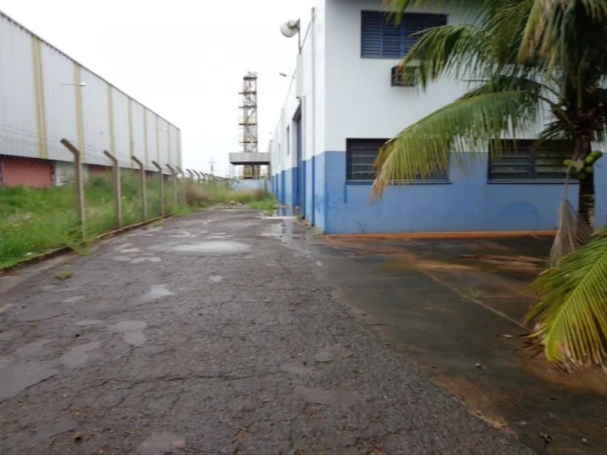 Foto 1 de Galpão/Depósito/Armazém à venda, 1000m² em Distrito Industrial Doutor Carlos Arnaldo e Silva, São José do Rio Preto
