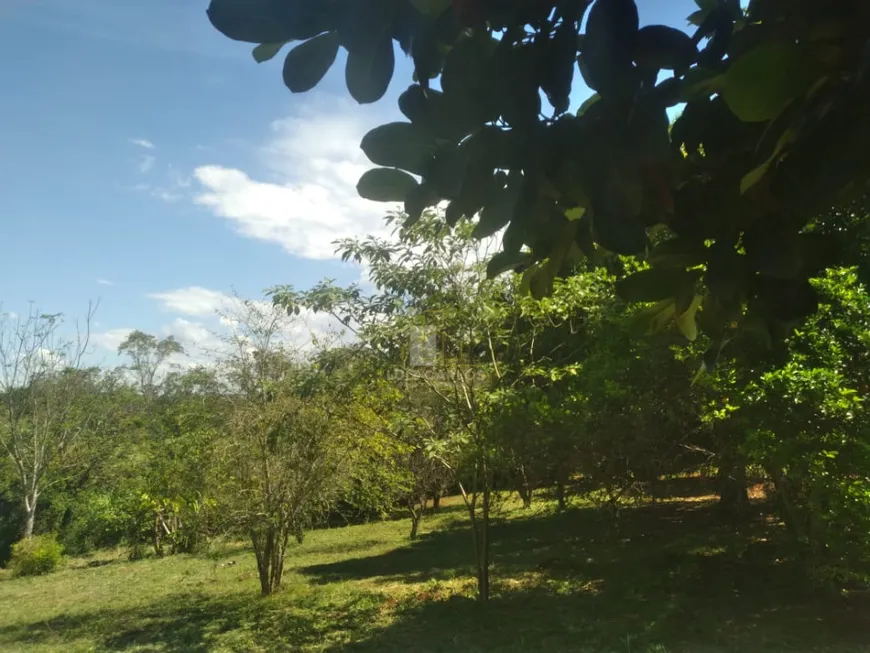 Foto 1 de Fazenda/Sítio com 1 Quarto à venda, 3000m² em Limoeiro, Londrina