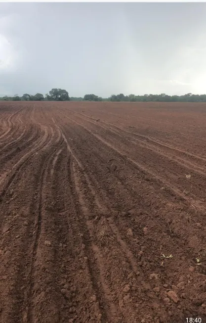 Foto 1 de Fazenda/Sítio à venda em Zona Rural, Flores de Goiás