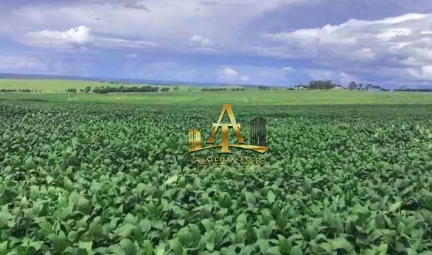 Foto 1 de Fazenda/Sítio à venda, 200m² em Zona Rural, Chapadão do Céu