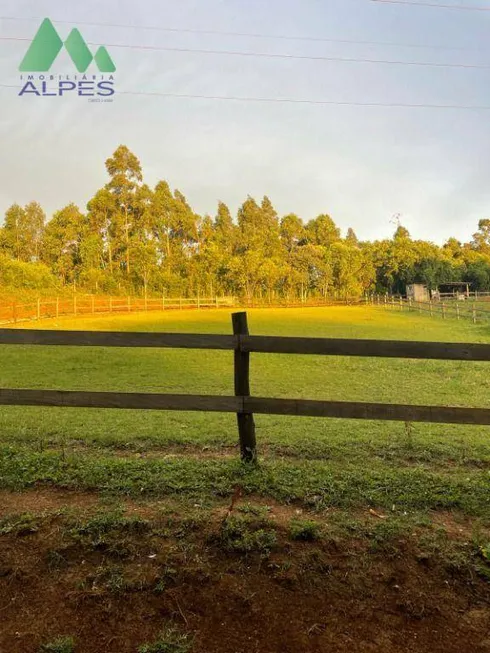 Foto 1 de Fazenda/Sítio com 1 Quarto à venda, 450m² em Jardim Dona Belizaria, Almirante Tamandaré