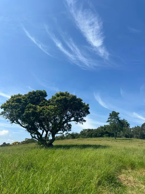 Foto 1 de Lote/Terreno à venda, 500m² em Rio de Una, Ibiúna