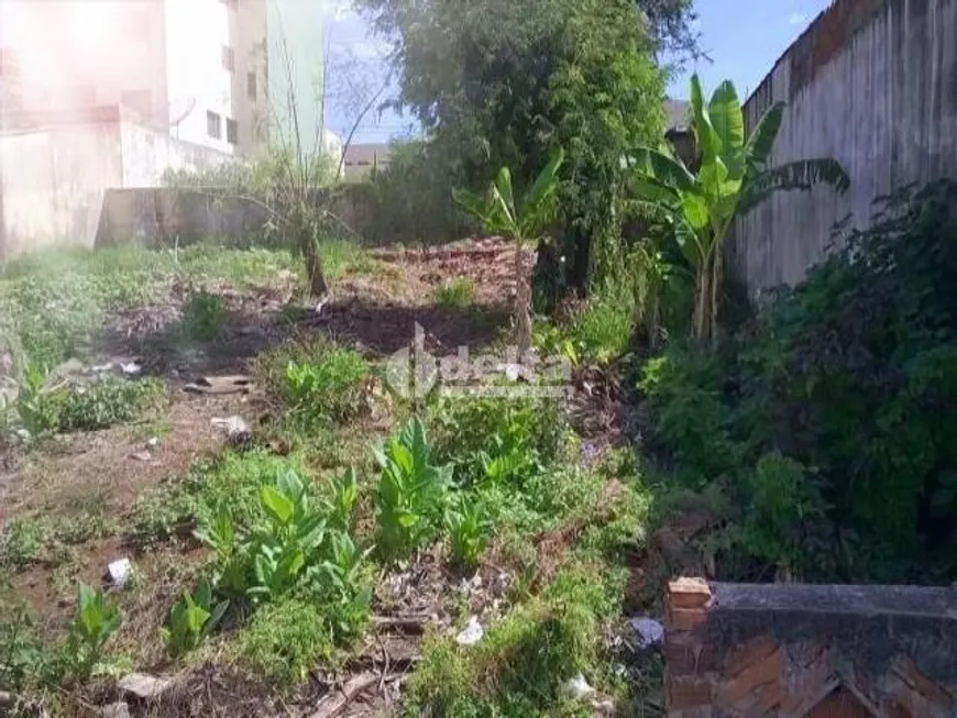 Foto 1 de Lote/Terreno à venda, 250m² em Carajas, Uberlândia