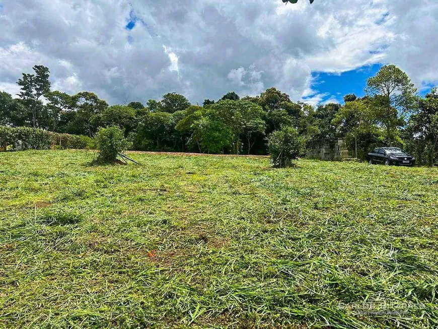 Foto 1 de Lote/Terreno à venda, 4200m² em Taiacupeba, Mogi das Cruzes