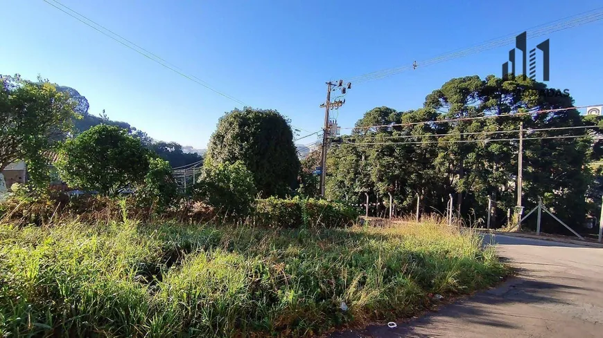 Foto 1 de Lote/Terreno à venda, 512m² em Santo Inácio, Curitiba