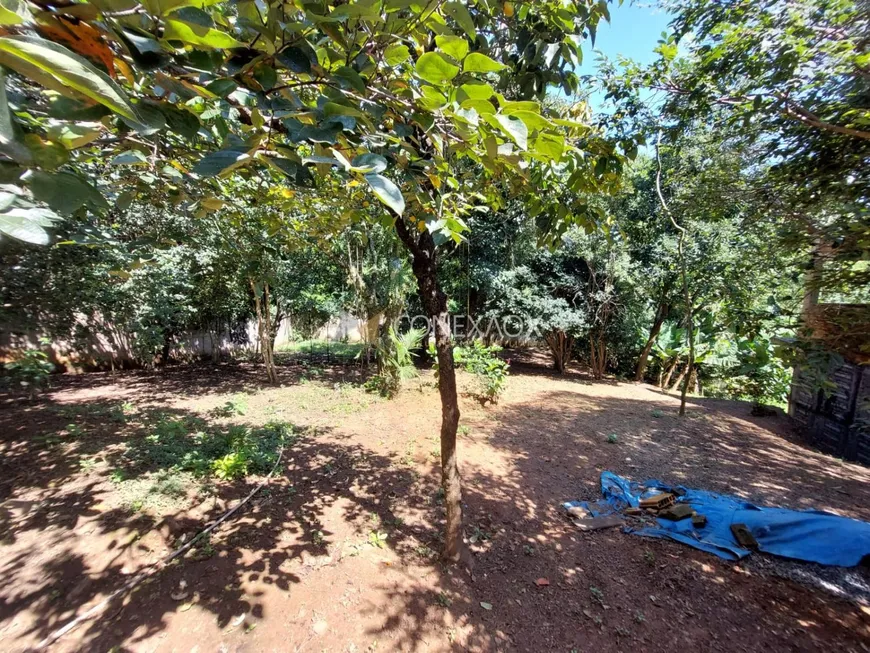 Foto 1 de Fazenda/Sítio com 3 Quartos para venda ou aluguel, 274m² em Jardim Tupi, Campinas