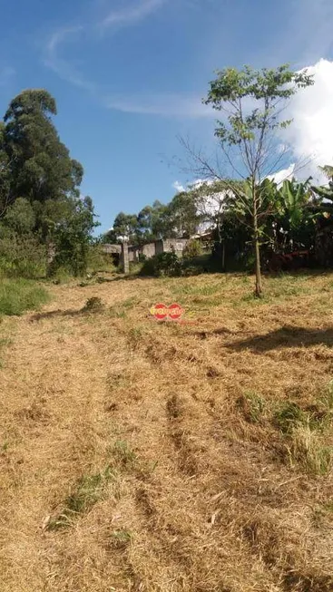 Foto 1 de Fazenda/Sítio com 1 Quarto à venda, 30000m² em Vila Nova , Amparo