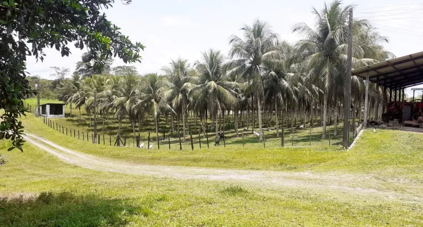 Foto 1 de Fazenda/Sítio com 1 Quarto à venda, 10m² em Zona Rural , Manaus