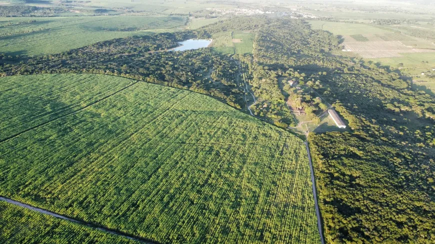 Foto 1 de Fazenda/Sítio com 4 Quartos à venda, 700000000m² em Zona Rural, Canguaretama