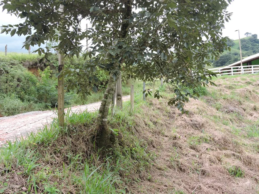 Foto 1 de Fazenda/Sítio à venda, 2500m² em Zona Rural, Delfim Moreira