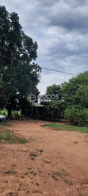 Foto 1 de Fazenda/Sítio com 4 Quartos à venda, 145m² em Paranaíba, Ituiutaba