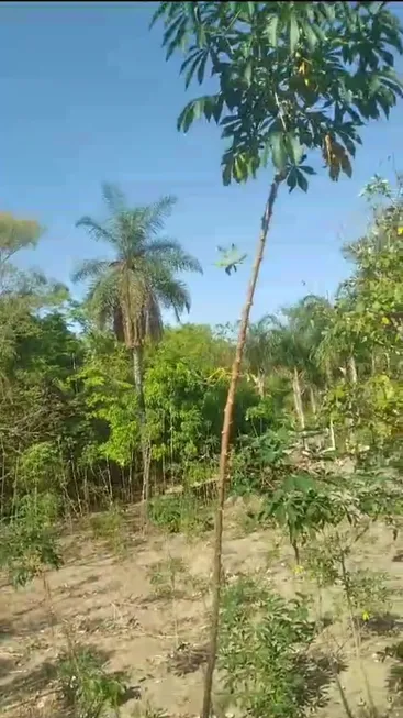 Foto 1 de Fazenda/Sítio com 1 Quarto à venda em Zona Rural, Colinas do Sul