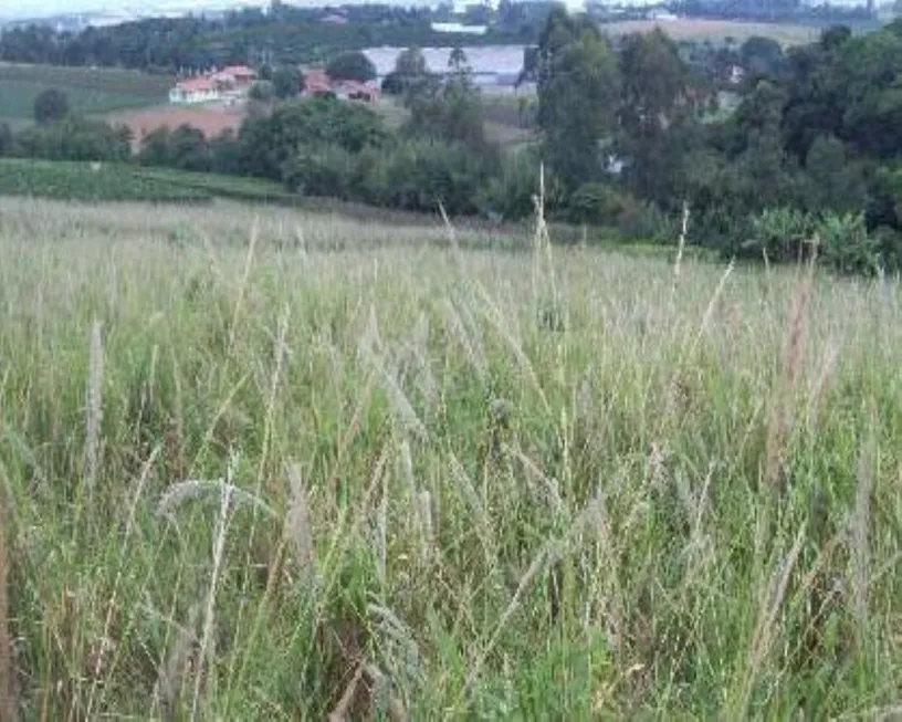 Foto 1 de Lote/Terreno à venda, 20000m² em Bom Jardim, Itupeva