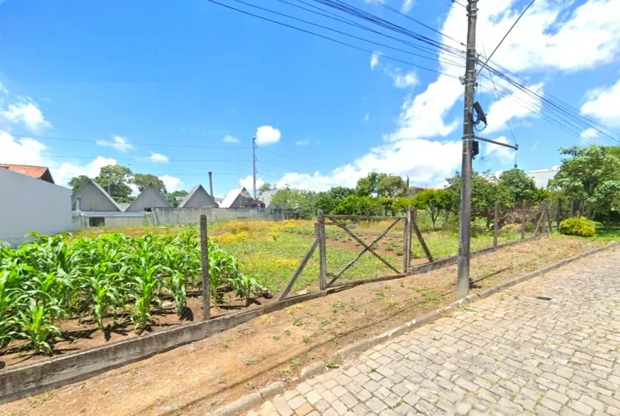 Foto 1 de Lote/Terreno à venda, 365m² em Diamantino, Caxias do Sul