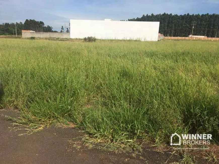 Foto 1 de Lote/Terreno à venda, 1000m² em , Astorga